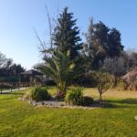casadereposo.cl jardines 2